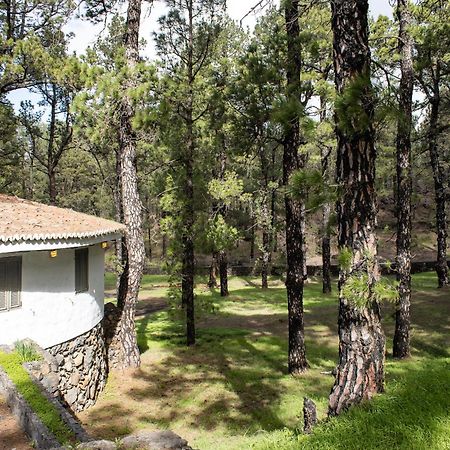 Vivienda Vacacional Finca La Redonda Эль-Пасо Экстерьер фото